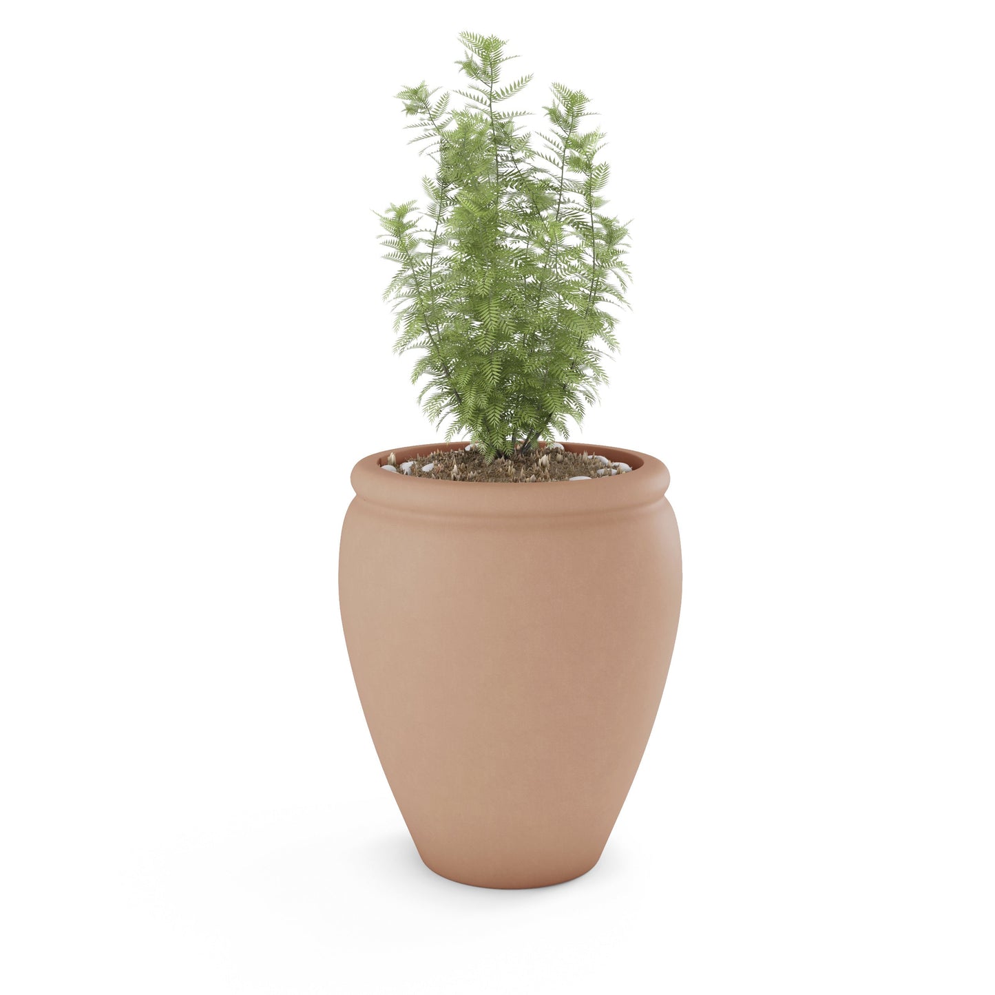 Bambino Large Planter - Fluent Trends
