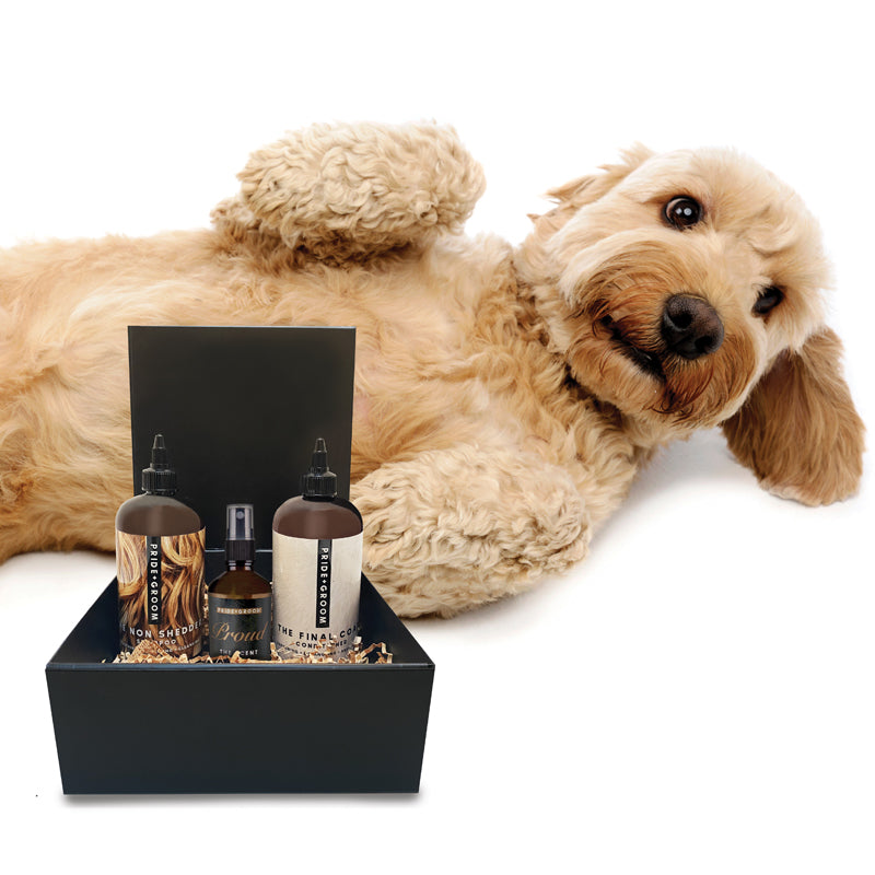 The Luxe Gift Set For Dogs