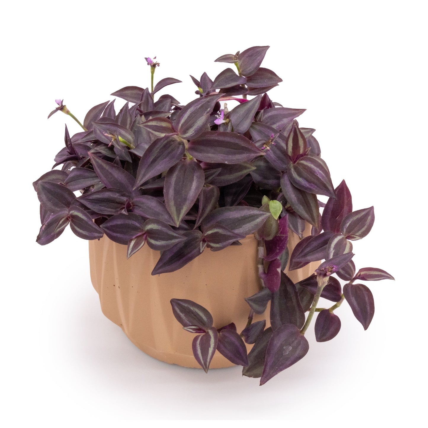 Flute 6" Tabletop Planter