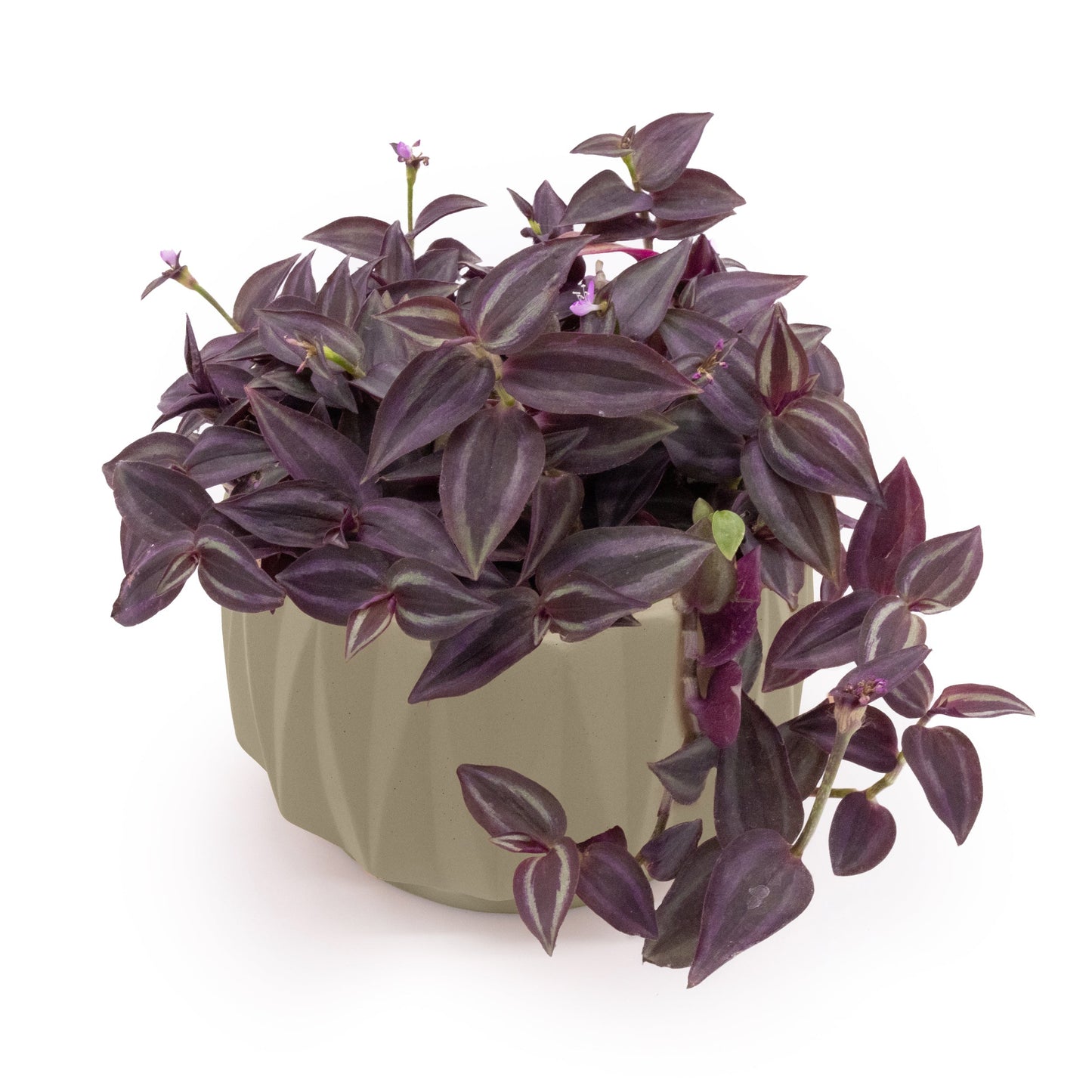 Flute 6" Tabletop Planter