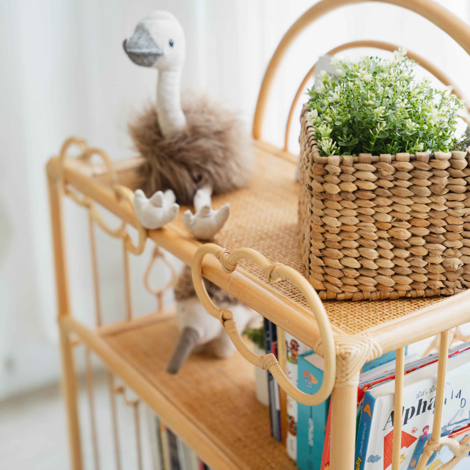 After the Rain Shelf - Fluent Trends