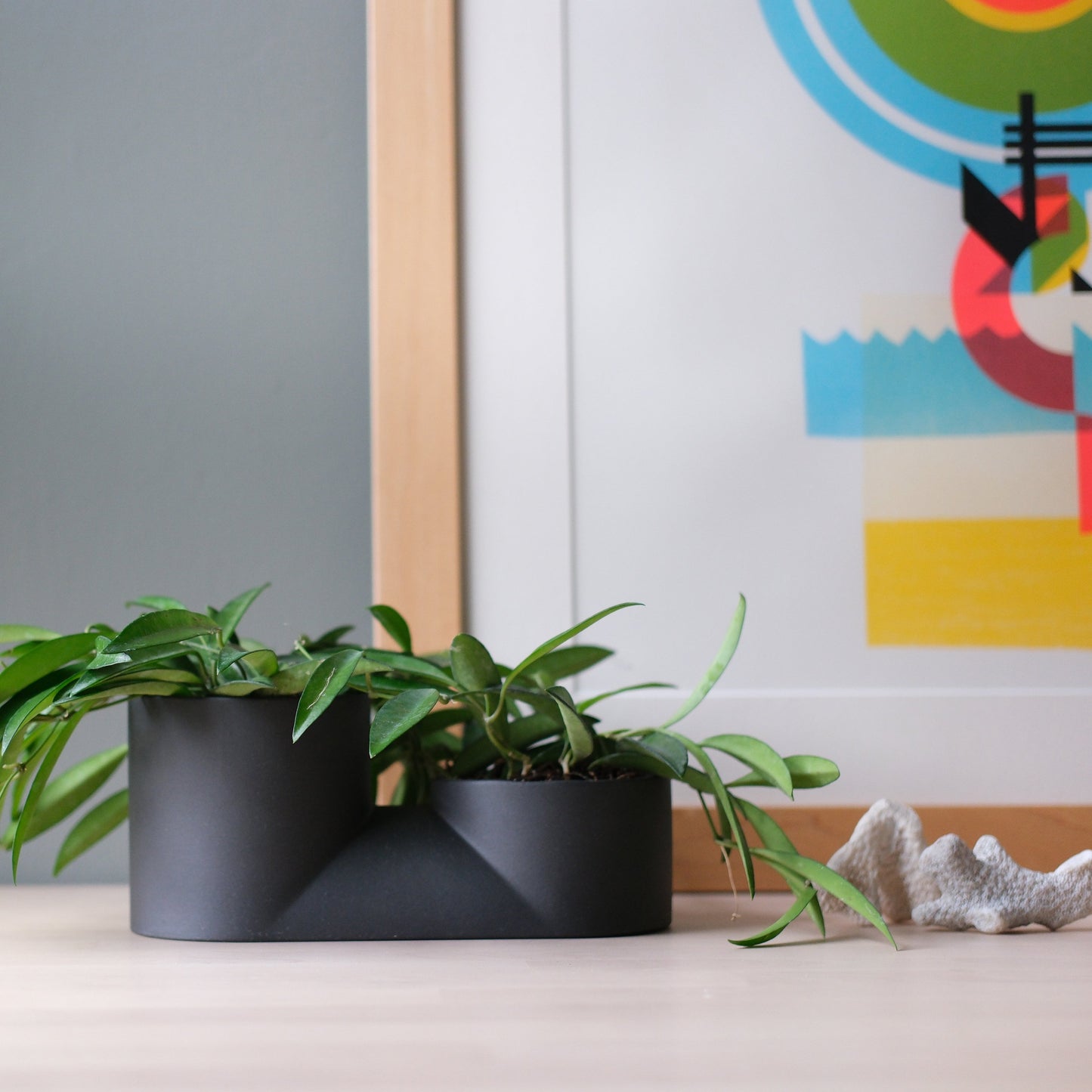 Misewell Handcrafted Ceramic Double Planter - Modern Indoor Two-Plant Pot for Succulents, Made in USA - Fluent Trends