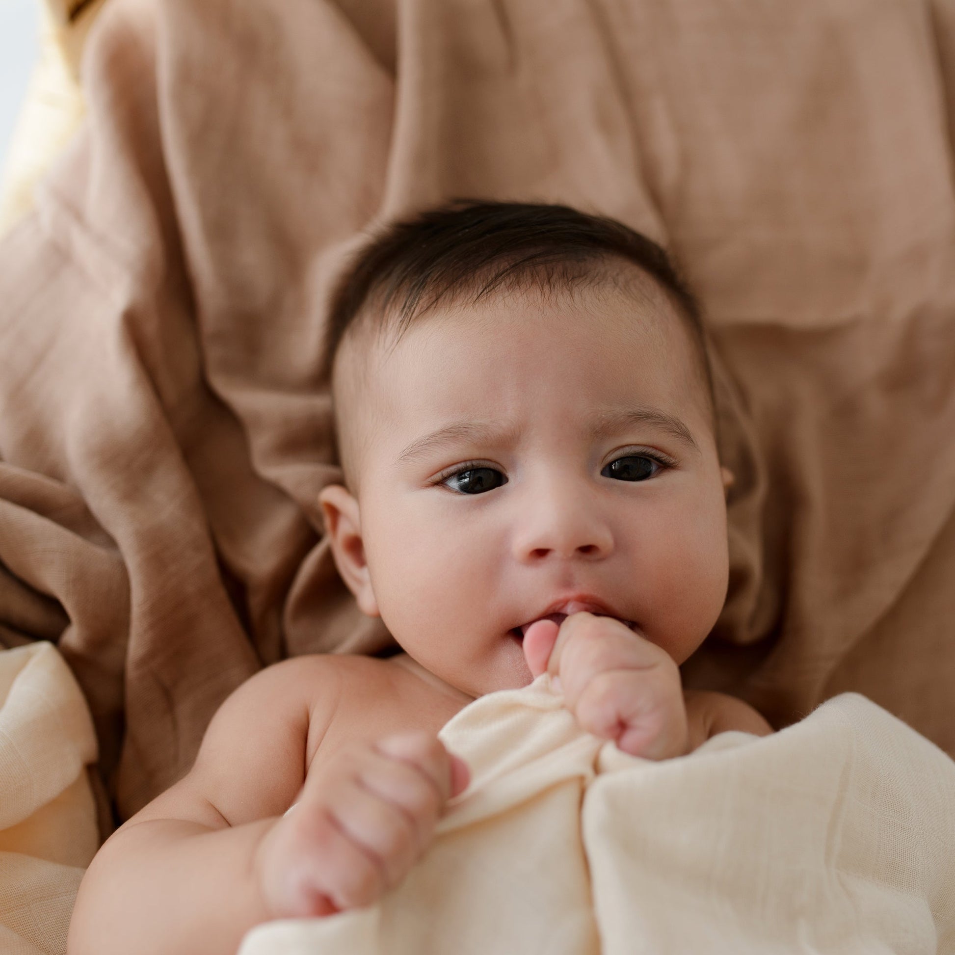 Muslin Swaddle Blankets - Soft Breathable Baby Swaddle Wrap, Bamboo Viscose & Cotton Receiving Blankets for Newborns, 2-Pack - Fluent Trends