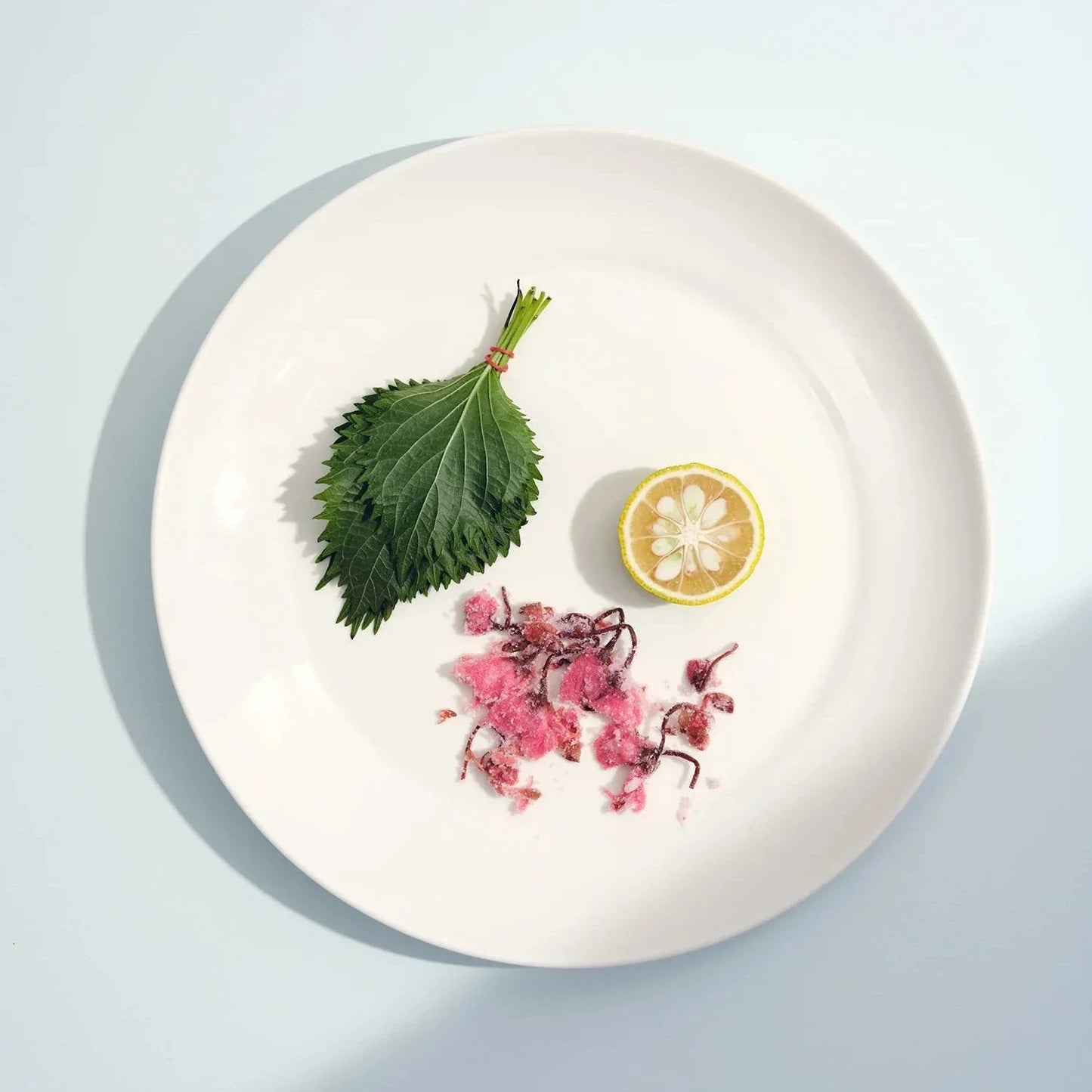 S/4 Large Plate - Fluent Trends