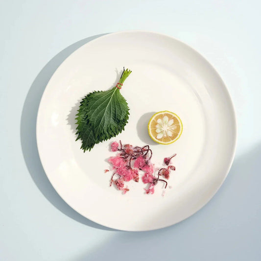 S/4 Large Plate - Fluent Trends