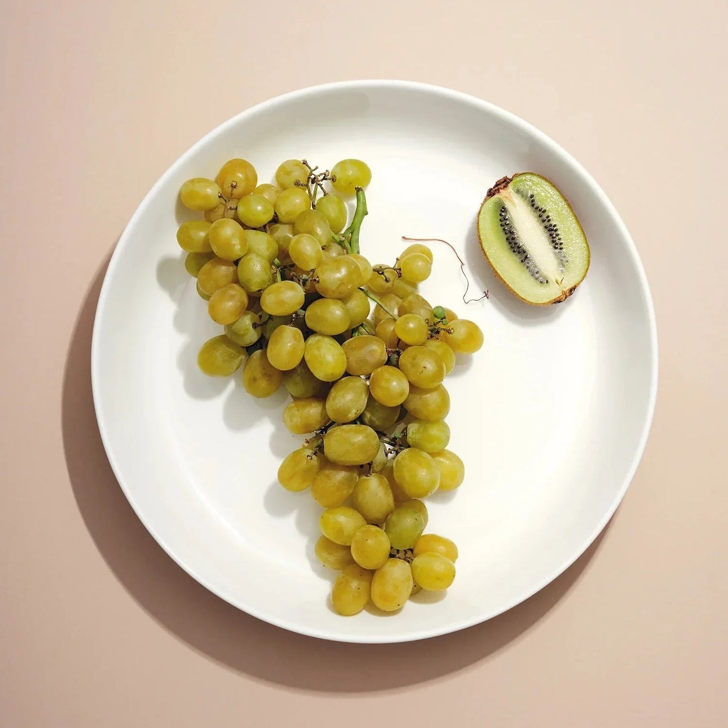 Shallow Serving Bowl - White - Fluent Trends