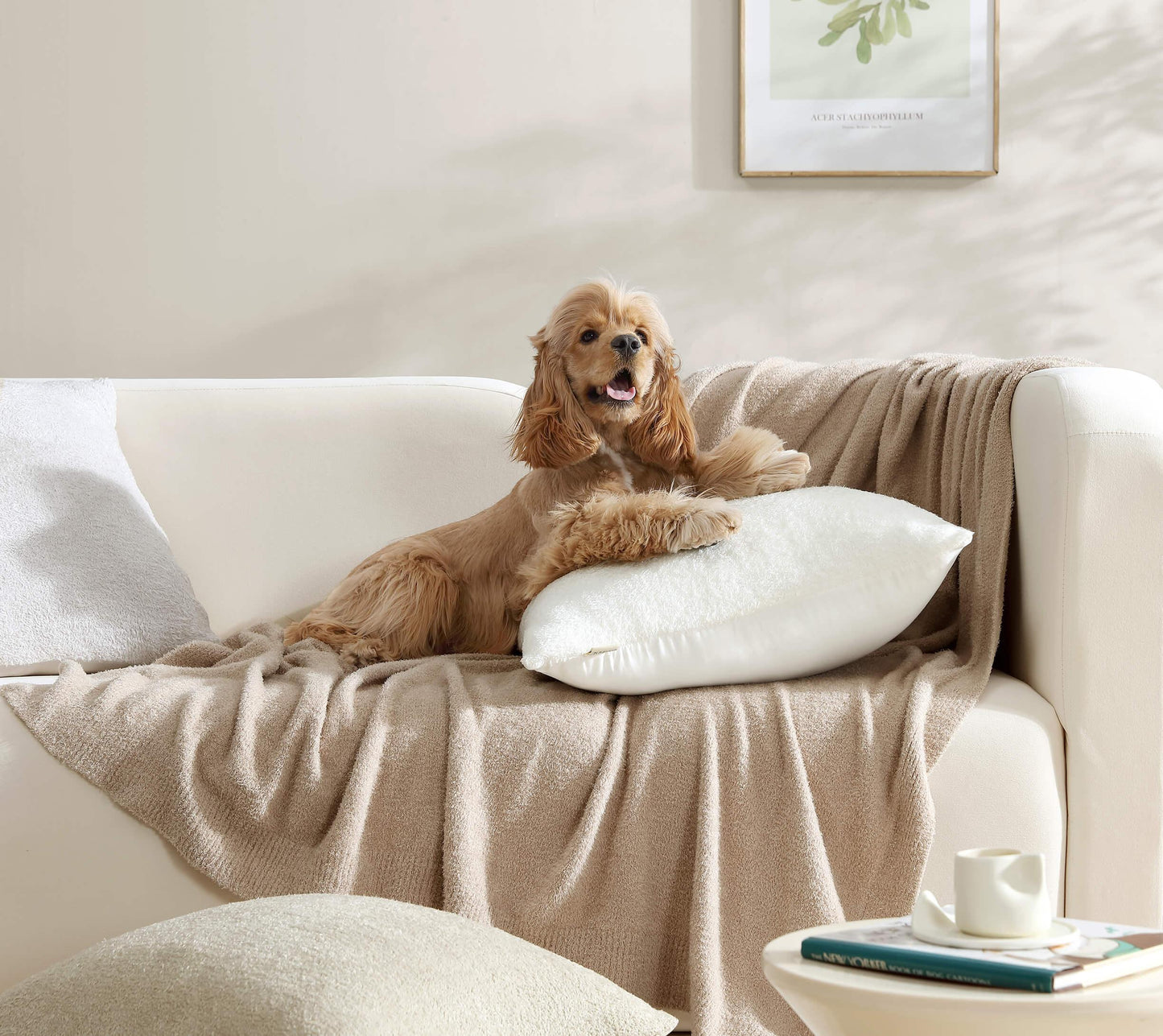 Cloud Silque Throw Pillow - Fluent Trends