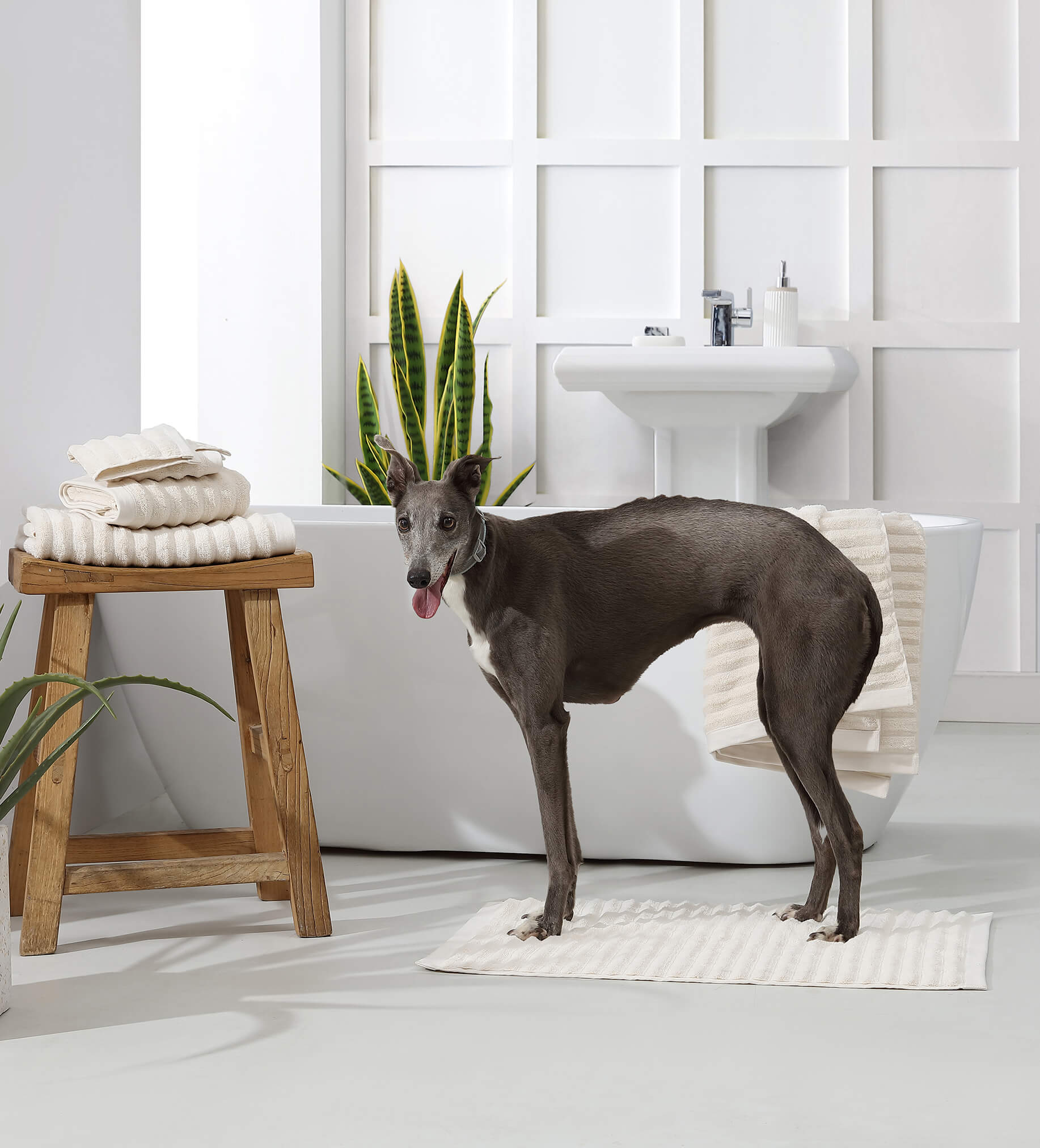 Turkish Cotton Rib Towel Set - Fluent Trends