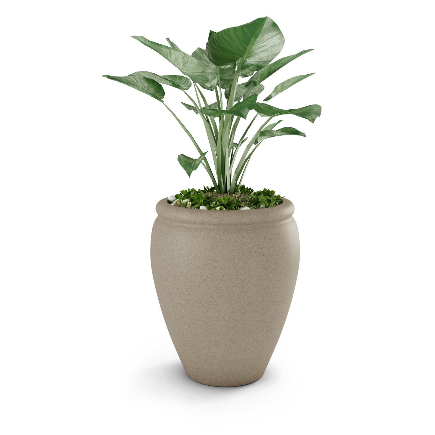 Bambino Large Planter - Fluent Trends