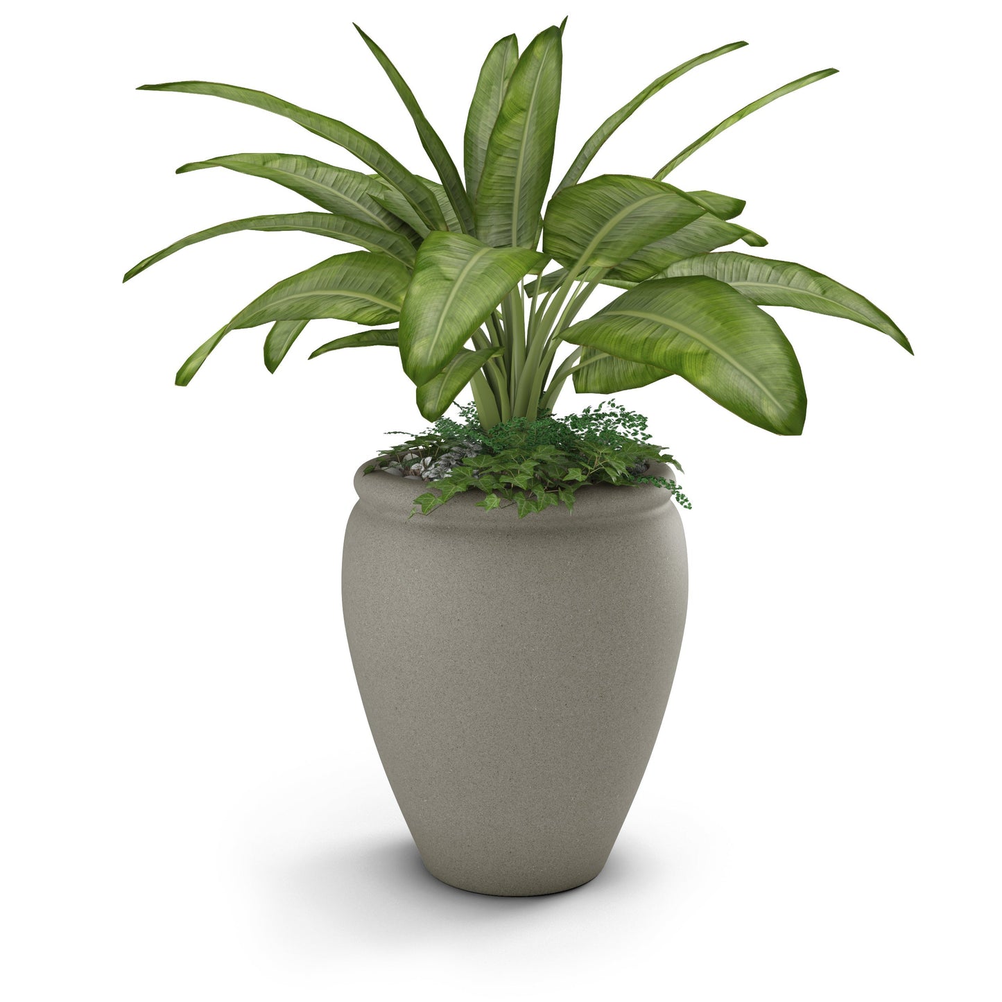 Bambino Large Planter - Fluent Trends