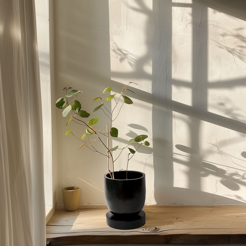 Adu Planter - Fluent Trends