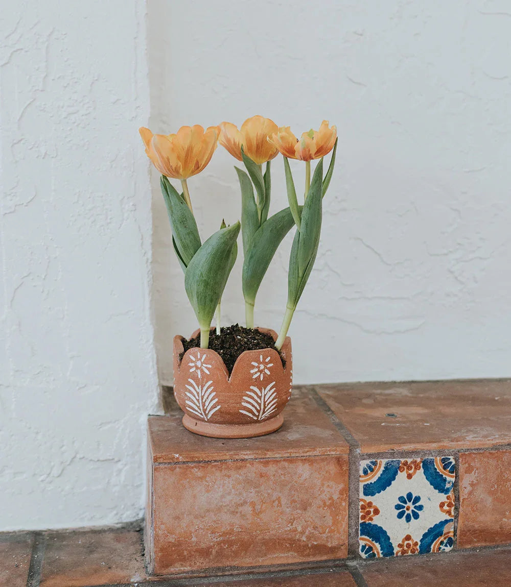 Vasanta Petals Planter with Drainage - Terracotta - Fluent Trends