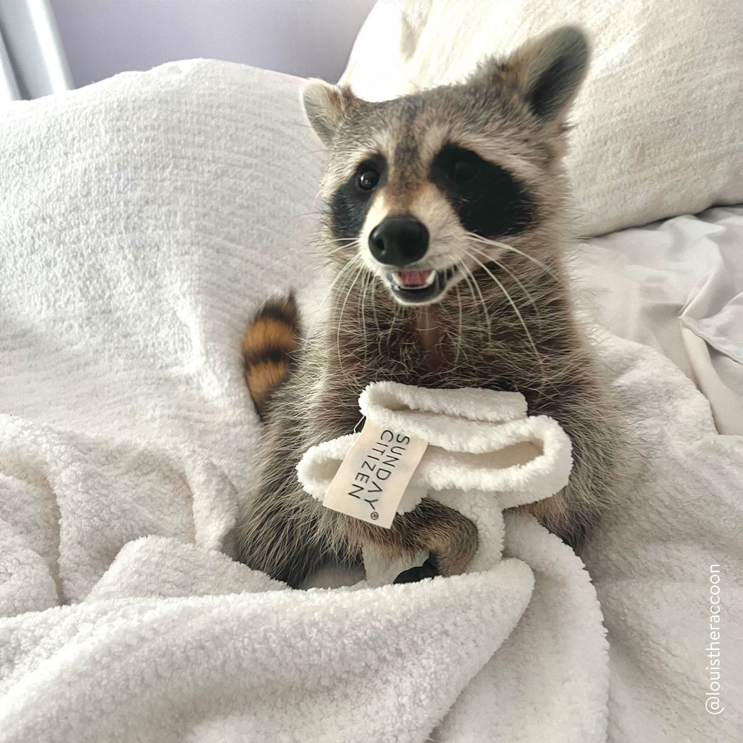 Snug Throw Sunday Citizen