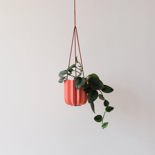 Dark red wrap hanging kit suspending a ribbed ceramic planter with trailing peperomia against a neutral wall