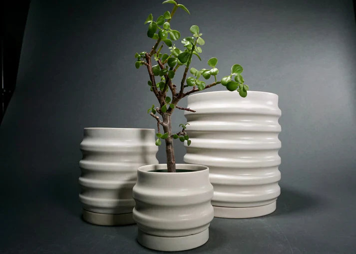 Minimalist home and patio accents featuring decorative planters indoor outdoor styled with lush green succulent arrangements