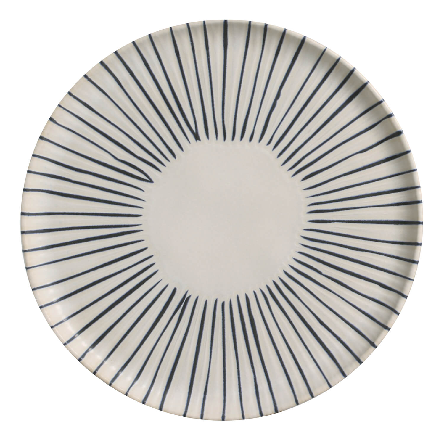 20 Pc. Dinnerware Set Powered by People