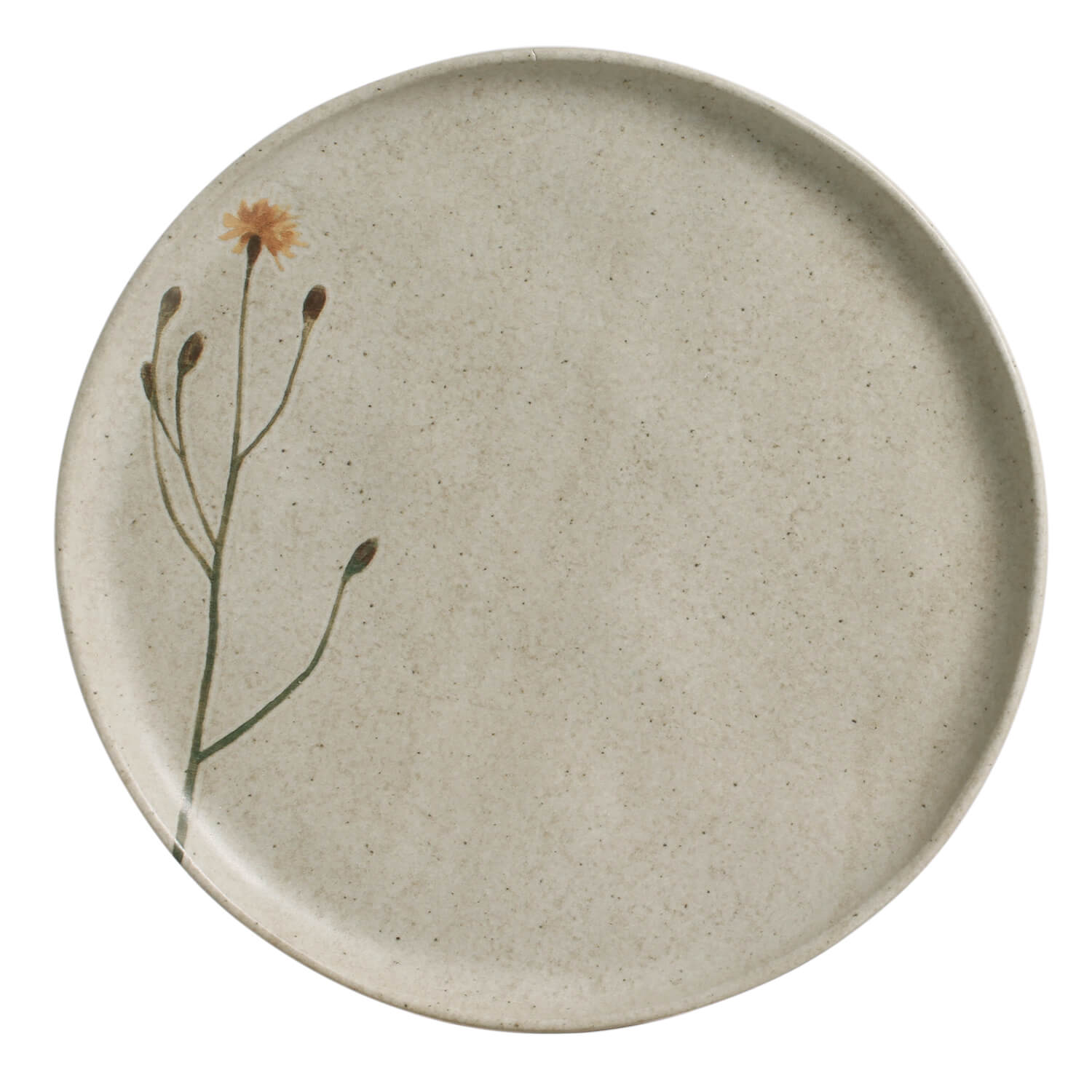 20 Pc. Dinnerware Set Powered by People