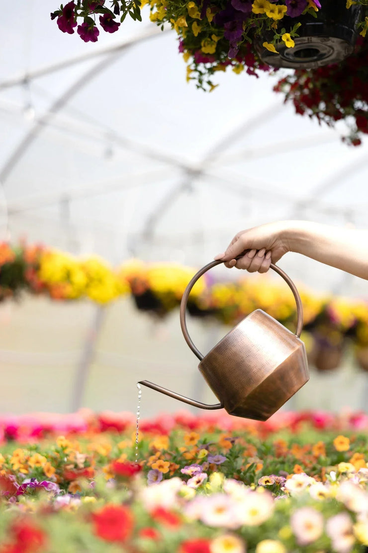 Antique Copper Watering Can - Fluent Trends