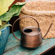 Antique Copper Watering Can - Fluent Trends
