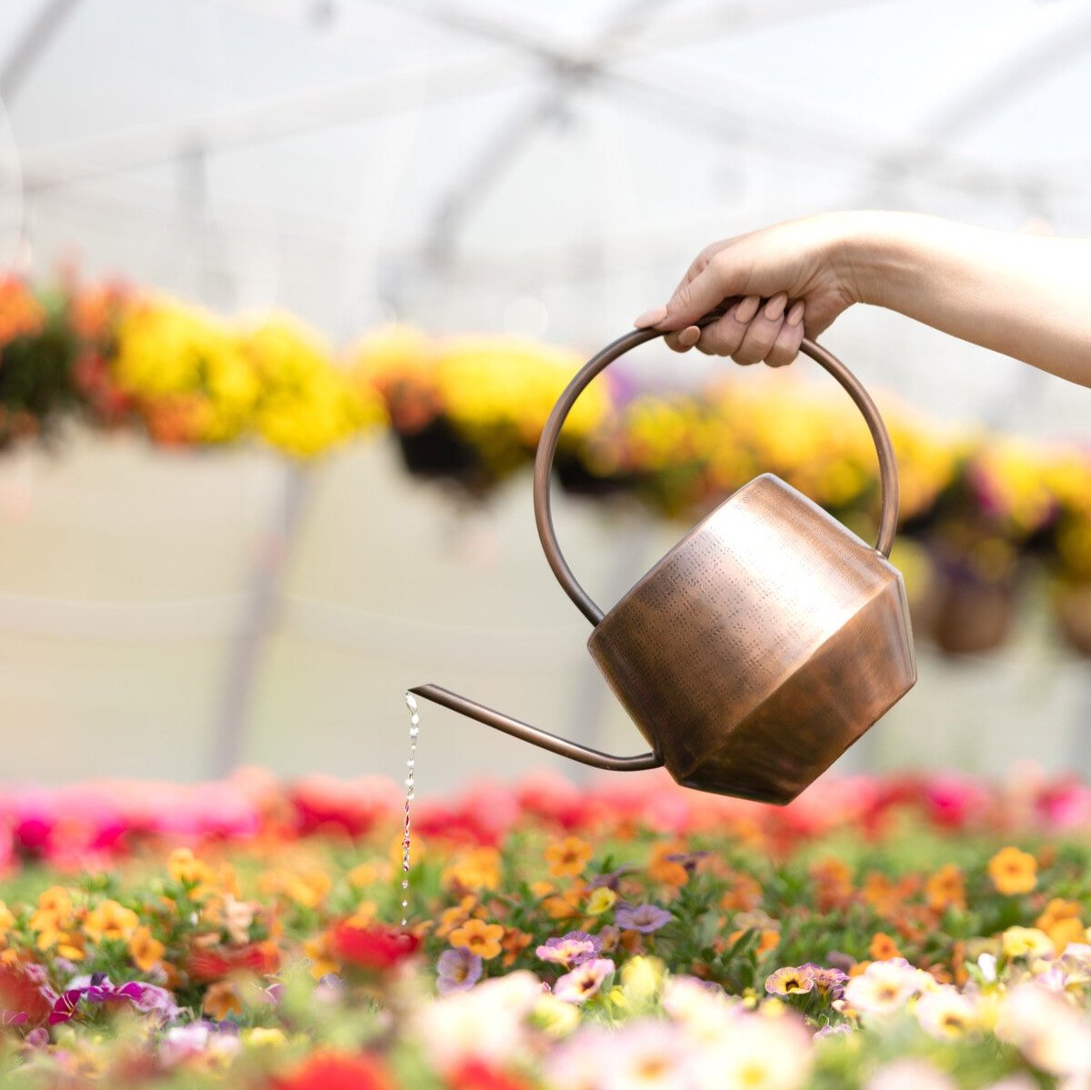 Antique Copper Watering Can