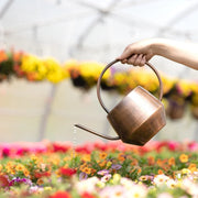 Antique Copper Watering Can - Fluent Trends