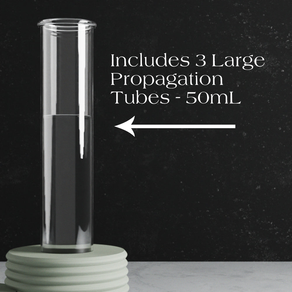 Triple Bubble Propagation Station Powered by People