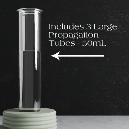 Triple Bubble Propagation Station Powered by People