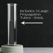 Triple Bubble Propagation Station - Fluent Trends