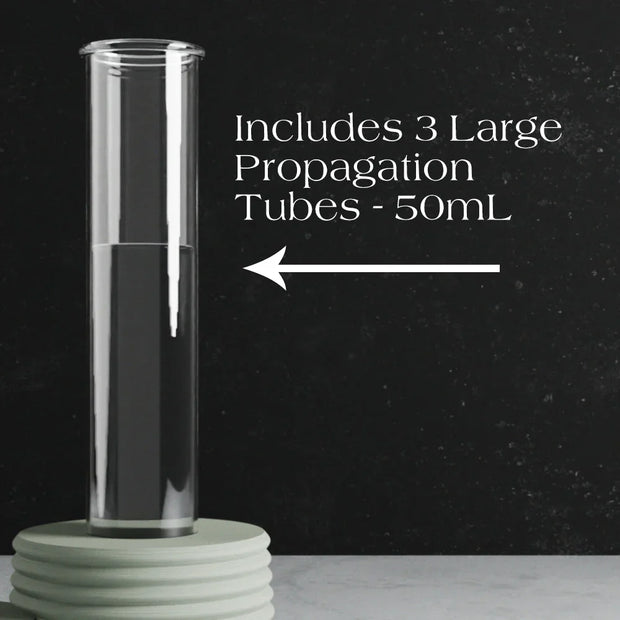 Triple Bubble Propagation Station - Fluent Trends