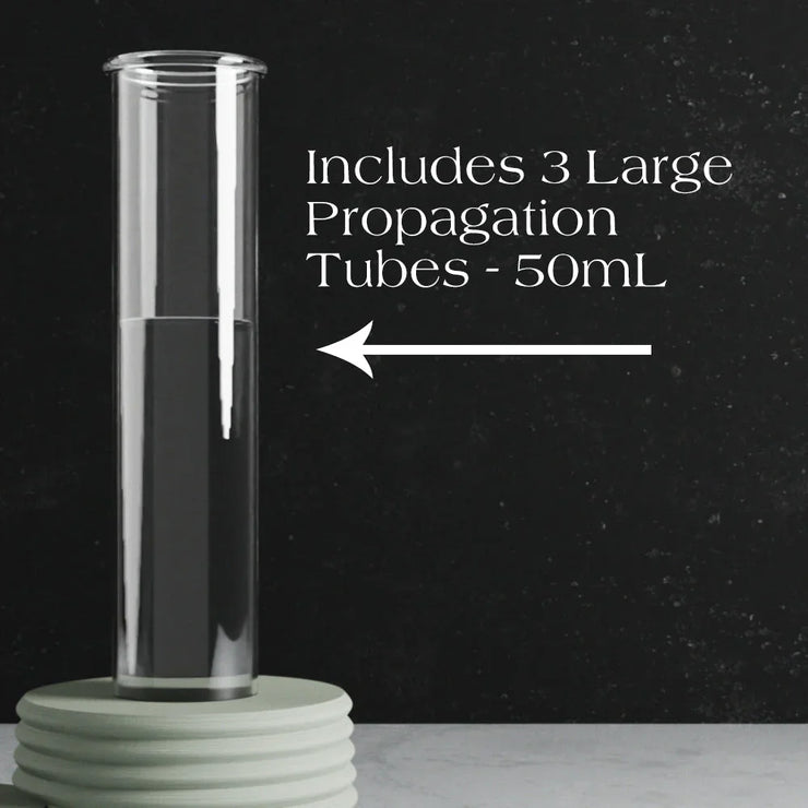 Triple Bubble Propagation Station - Fluent Trends
