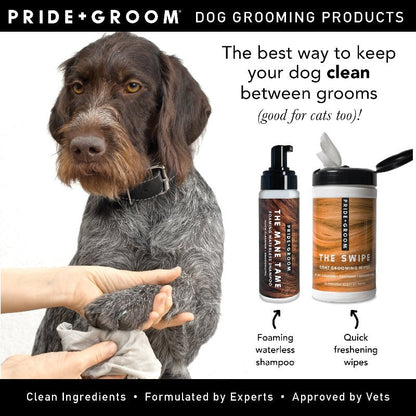 The Mane Tame Waterless Dog & Cat Shampoo|No-Rinse Pet Grooming Quick Cleaning