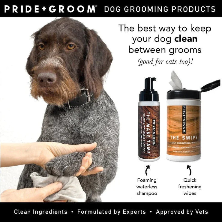The Mane Tame Waterless Dog & Cat Shampoo|No-Rinse Pet Grooming Quick Cleaning - Fluent Trends Dogs & Cats Waterless Shampoo