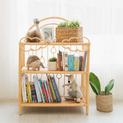 After the Rain Shelf
