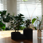 Misewell Handcrafted Ceramic Double Planter - Modern Indoor Two-Plant Pot for Succulents, Made in USA - Fluent Trends