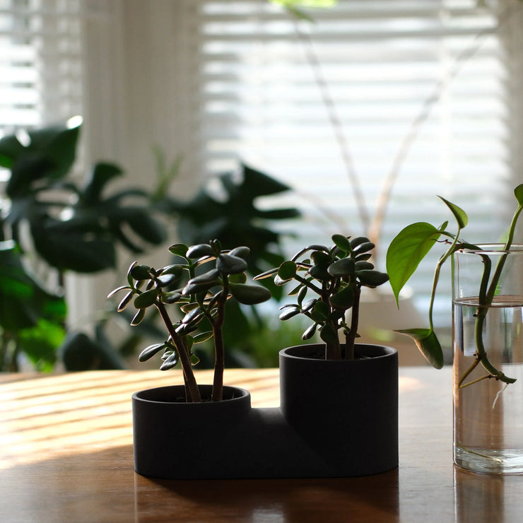 Misewell Handcrafted Ceramic Double Planter - Modern Indoor Two-Plant Pot for Succulents, Made in USA - Fluent Trends