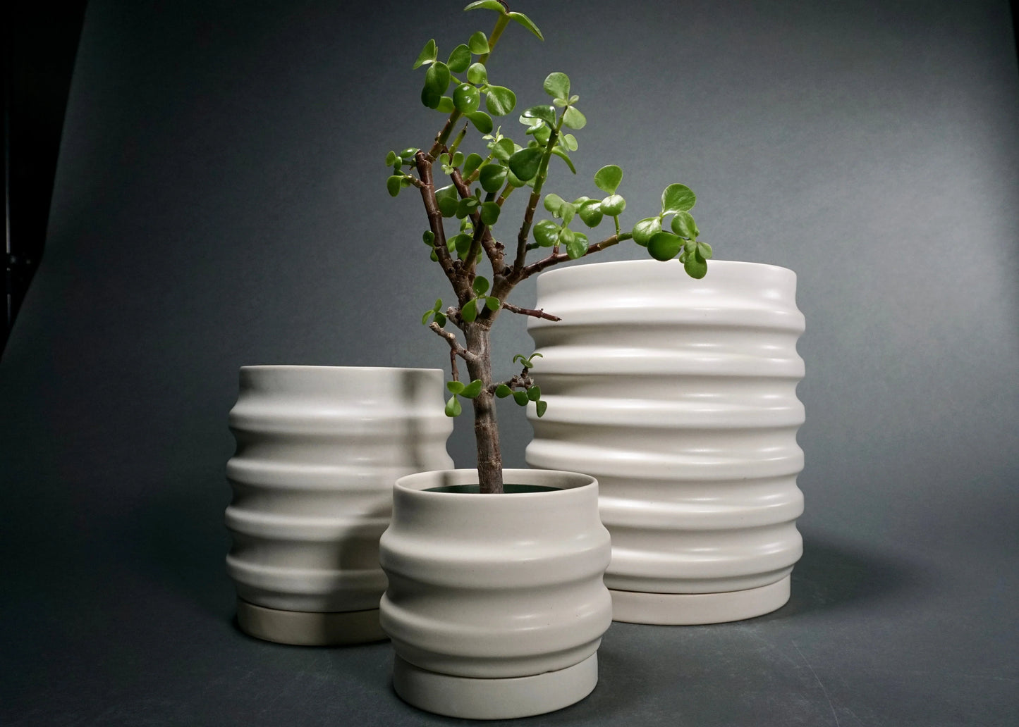 Primera Ceramic Planter - Modern Ridged Plant Pot with Drainage