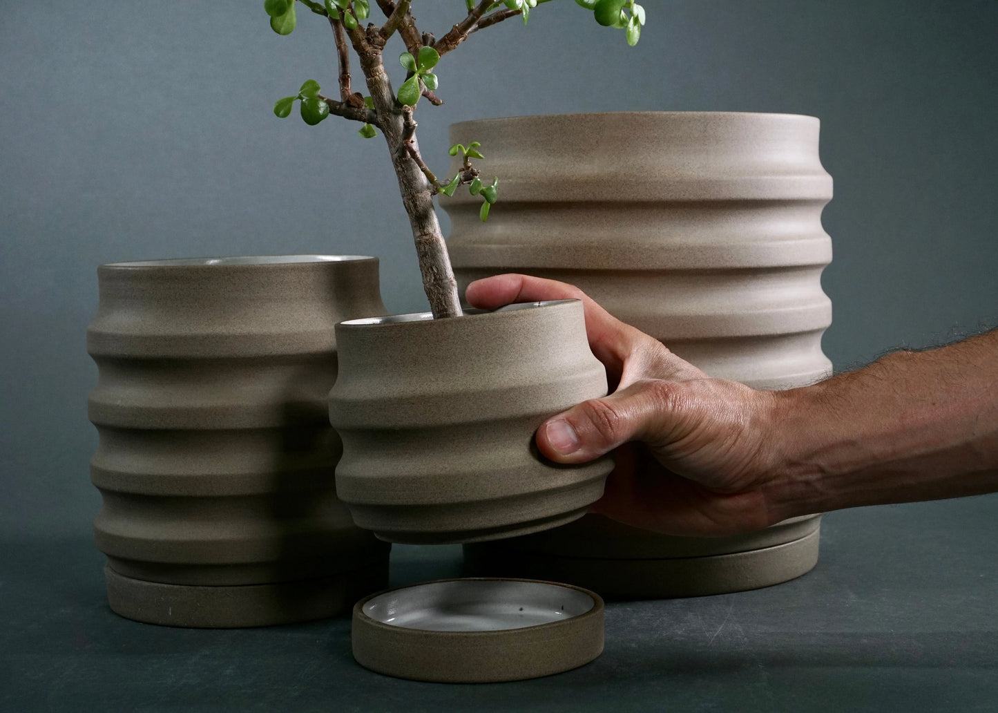 Primera Ceramic Planter - Modern Ridged Plant Pot with Drainage