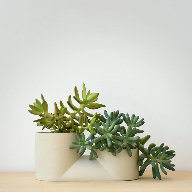 Misewell Handcrafted Ceramic Double Planter - Modern Indoor Two-Plant Pot for Succulents, Made in USA - Fluent Trends