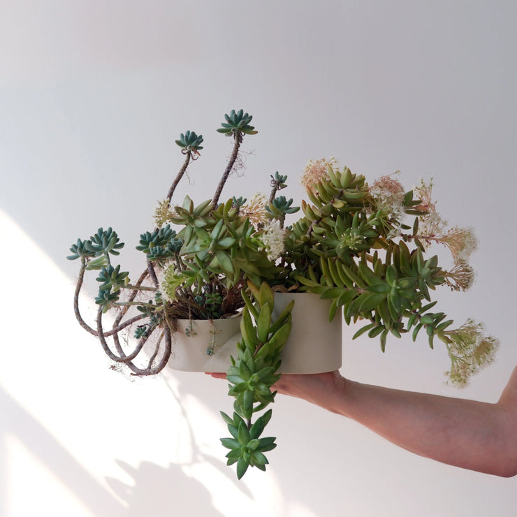 Misewell Handcrafted Ceramic Double Planter - Modern Indoor Two-Plant Pot for Succulents, Made in USA - Fluent Trends