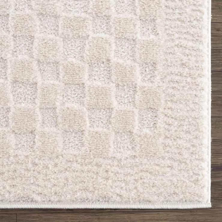Leryn Ivory Checkered Area Rug - Fluent Trends Area Rugs