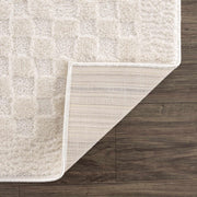 Leryn Ivory Checkered Area Rug - Fluent Trends Area Rugs