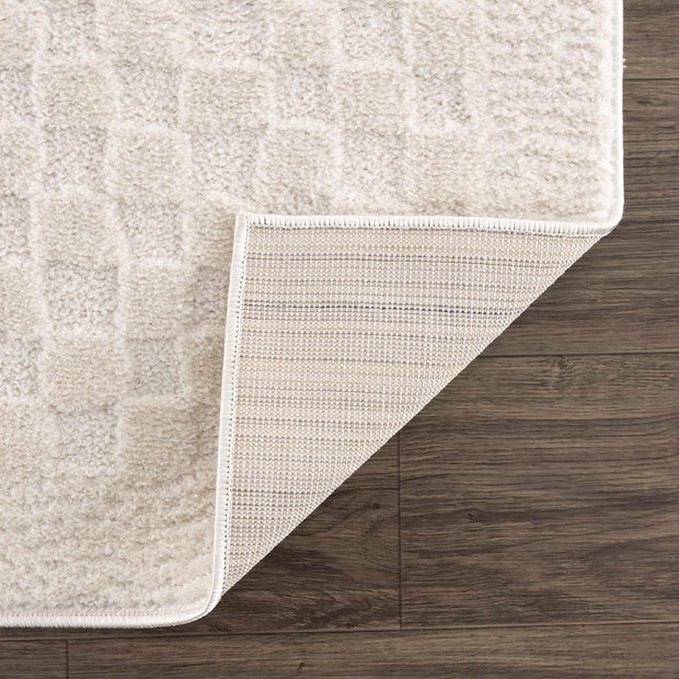 Leryn Ivory Checkered Area Rug - Fluent Trends Area Rugs