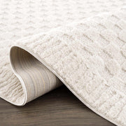 Leryn Ivory Checkered Area Rug - Fluent Trends Area Rugs