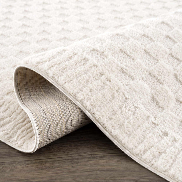 Leryn Ivory Checkered Area Rug - Fluent Trends Area Rugs