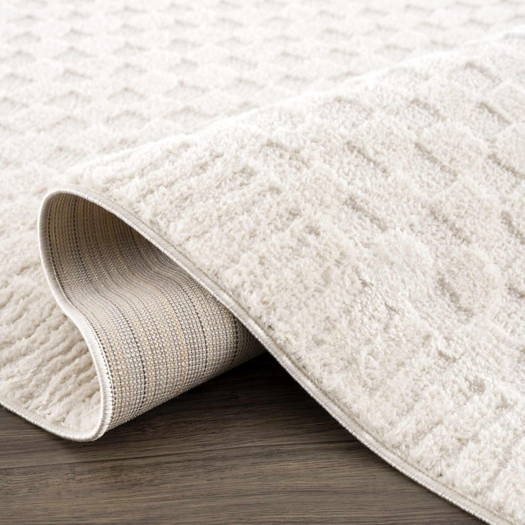 Leryn Ivory Checkered Area Rug - Fluent Trends Area Rugs