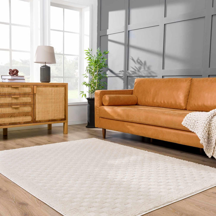 Leryn Ivory Checkered Area Rug - Fluent Trends Area Rugs