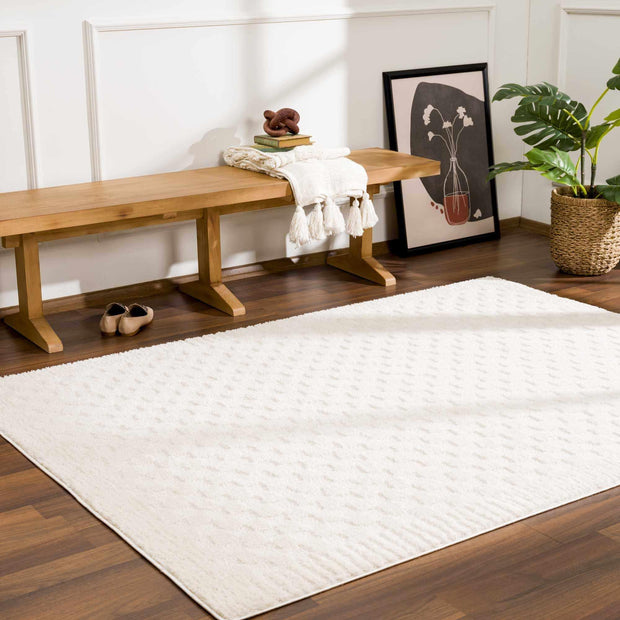 Leryn Ivory Checkered Area Rug - Fluent Trends Area Rugs