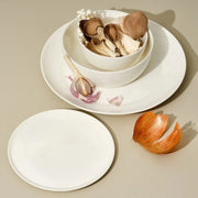 S/4 Wide Rim Dinnerware Set - Fluent Trends