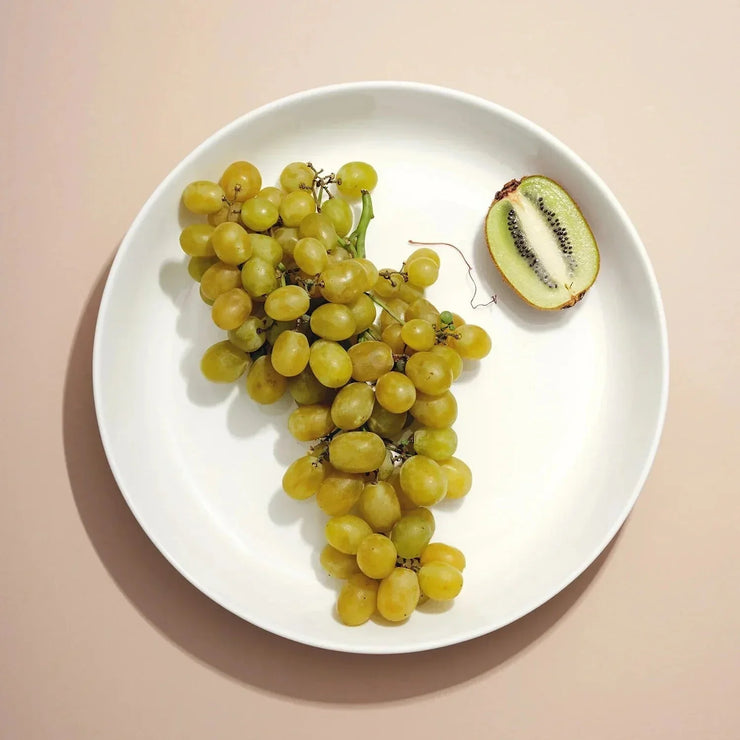 Shallow Serving Bowl - White - Fluent Trends