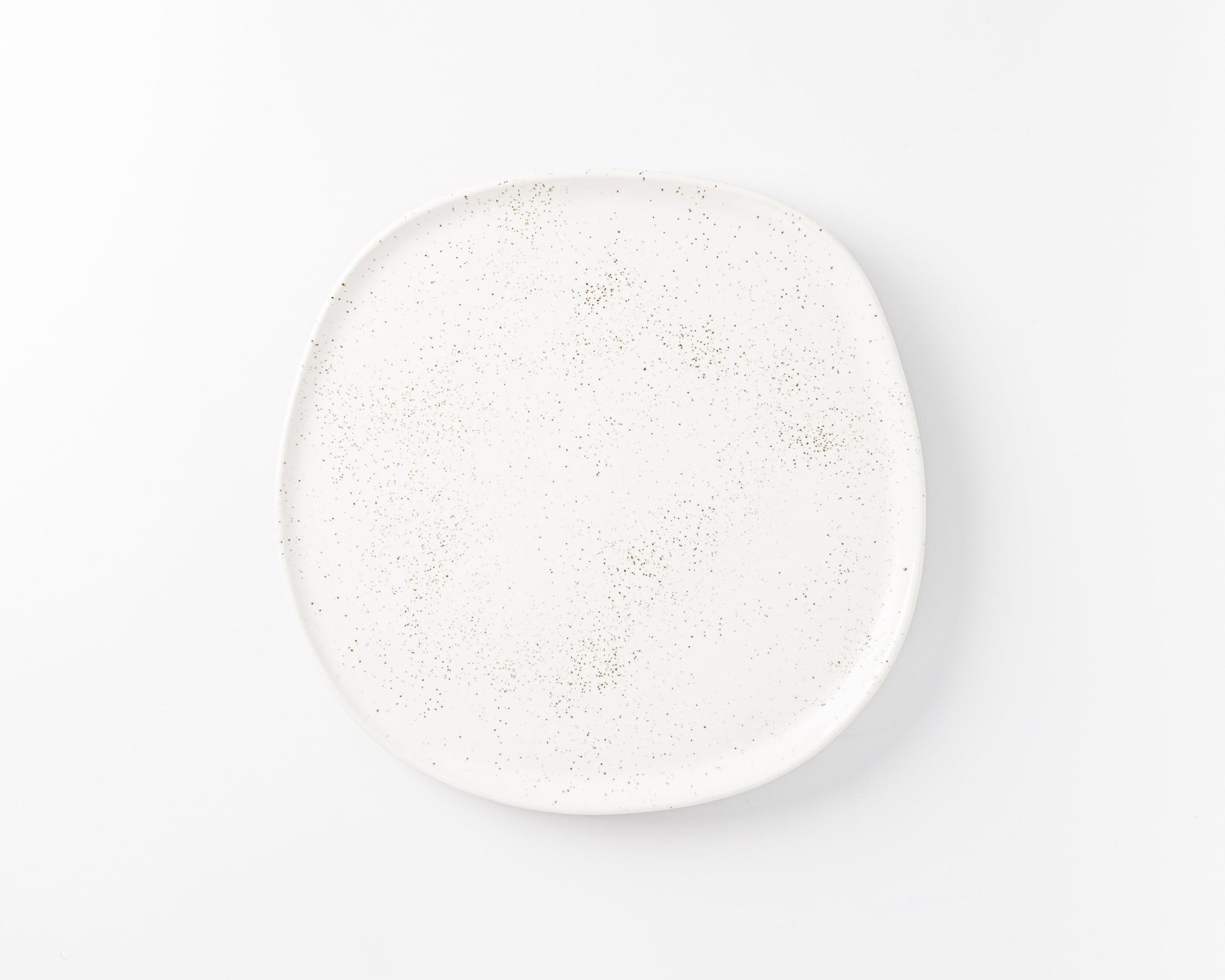 White ceramic plate with subtle brown speckled pattern on a white background